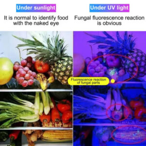 UV Flashlight & fake note detector